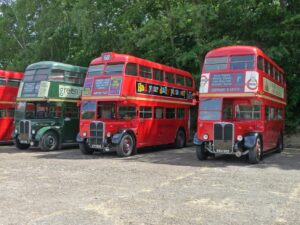 RT-family buses at the Sixties Summer in 2013