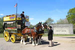 horse-bus1