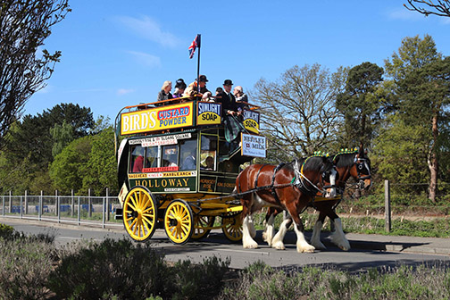4-light horse-bus