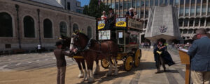 Cart Marking 2026