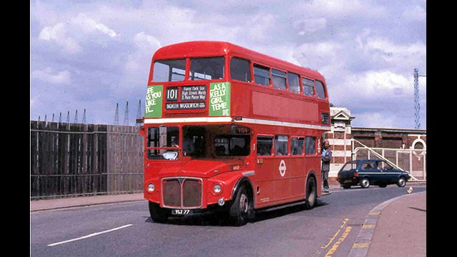 RM77 with the tops of a line of cranes at Royal Albert Dock [Kim Rennie]